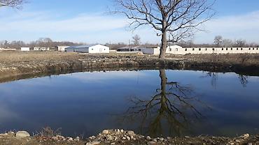 Kommersiya daşınmaz əmlakının satışı: 🔹 Satılır: Ferma – Xudat, Ləcət kəndi 🔹 ✅ Unikal fürsət! Xudat-Yalama — 12