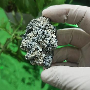 Digər kolleksiyalar: UV Parlayan Təbii Daş Satılır – Kolleksiya üçün Nadir Kristal 💎 — 8