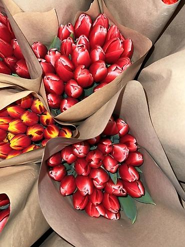 Букеты из живых цветов: 🌷 Тюльпаны оптом и в розницу!🌷 Свежие, хрустящие, плотные бутоны 🌿 at lalafo.kg — 2 Букеты из живых цветов: 🌷 Тюльпаны оптом и в розницу!🌷 Свежие, хрустящие, плотные бутоны 🌿 — 2