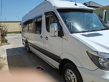 m50 n: Mikroavtobus — 7