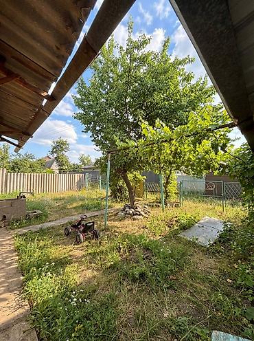 Продажа домов: Дача, 30 м², 3 комнаты — 2