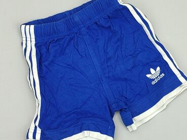 niebieska koszula tommy hilfiger: Shorts, Adidas, 12-18 months, condition - Very good