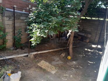 Həyət evləri və villaların satışı: Sulutəpə qəs. 4 otaqlı, 2 kv. m, Kredit yoxdur, Orta təmir — 9