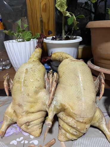 Рыба и морепродукты: Məhsul: Təmizlənmiş lal ördələklər kilosu 12 azn Təsvir: - Tam bütöv
