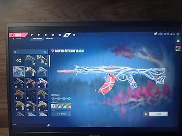 İncəsənət və kolleksiyalar: VALORANT hesabı – seçmə Vandal və Phantom skin kolleksiyası - Vandal — 1