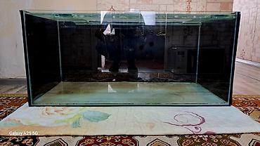 Dördbucaq akvarium, Boş, 225 l