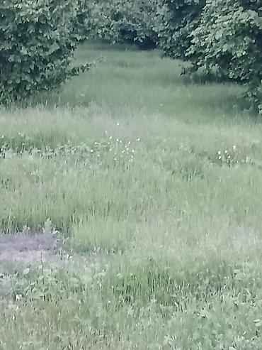 Torpaq sahələrinin satışı: 87 sot, Tikinti, Mülkiyyətçi, Kupça (Çıxarış) — 14