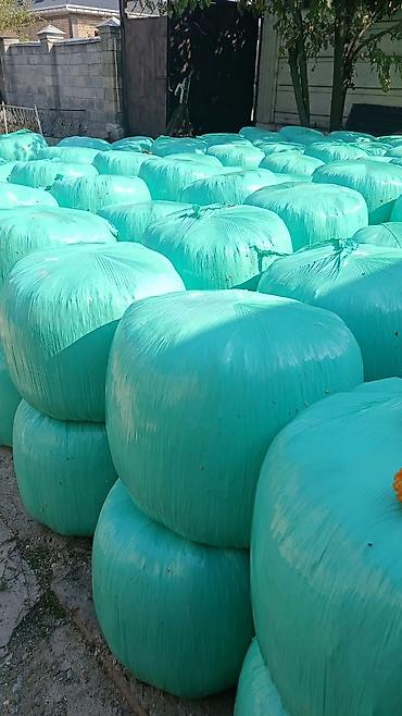 бал мёд: Силосованные тюки кукурузной массы в индивидуальной герметичной — 3