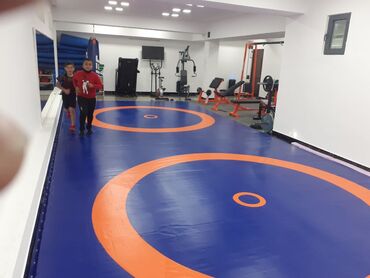 Другие тренажеры: Профессиональные спортивные маты для единоборств Назначение: - борьба — 32