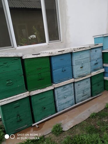 Другие товары для дома и сада: Продаю улики.без пчёл.Находятся в кара-балта