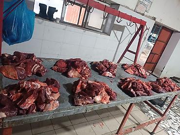 продам мясо: Касапчылык баардык кызматтарды жазайбыз - Цельная тушка молодого — 9