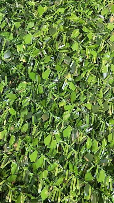 Bağ və bostan üçün digər məhsullar: 19 man baslayan qiymetler — 4