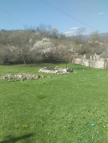 kiraye ile satilan evler: Dağ mənzərəli torpaq sahəsi və köhnə tikili - Geniş yaşıllıqla — 7