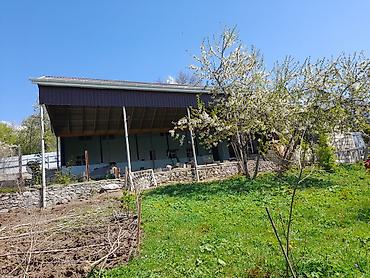 Həyət evi alıram: 200 kv. m, 5 otaqlı — 12