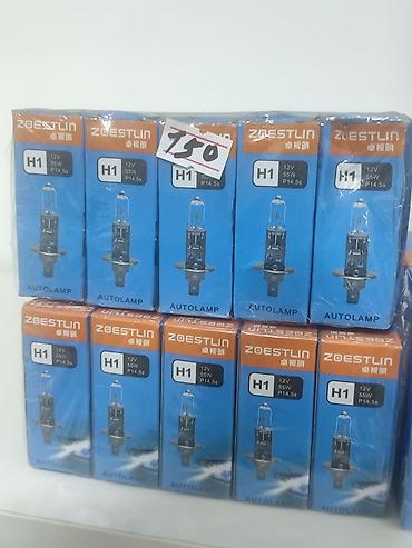 Лампы: Автолампы галогенные ZOESTLIN и AAL Ассортимент: - H4 12V 60/55W — 5