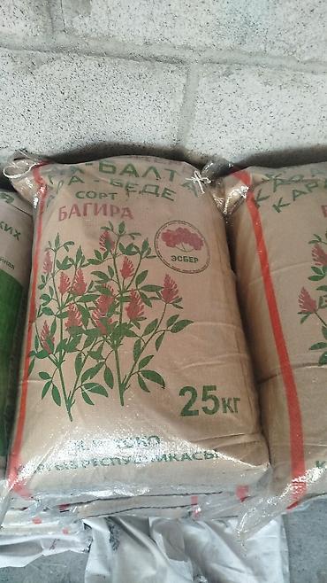 Кормовые растения: Семена кормовых растений: Люцерна — 7