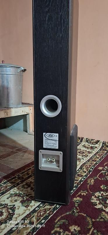 видеокамера на авто: Домашний кинотеатр ELAC + ресивер Kenwood KRF-V7070D Состав — 7