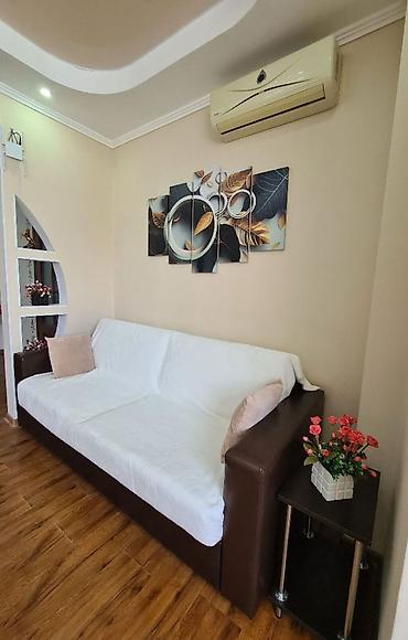 2 bedroom: 2 комнаты, 8 мкр Агентство недвижимости, Без подселения, от 6 месяцев, С мебелью полностью — 4