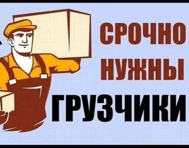 фармацевт токмок: Жүк ташуучу. Таш-Рабат СБ