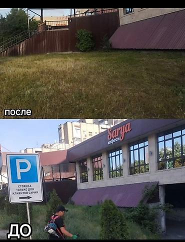 Уборка территории: Уборка территории, Уборка двора и сада — 8