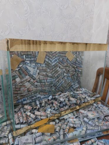 Освещение: Şüşə akvarium dəsti – dekorativ məqsədli - Material: qalın şüşə