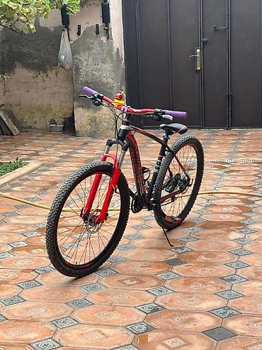dağ velosipedləri: CAMARO XC PRO• 29 Dağ Velosipedi• Alminum Rama• 3/8 ötürücü• Mt200 — 1
