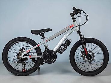 İdman velosipedləri: Dağ velosipedi BMX GTR 136-20, 20 düym, gümüşü Dağ velosipedi BMX GTR — 1