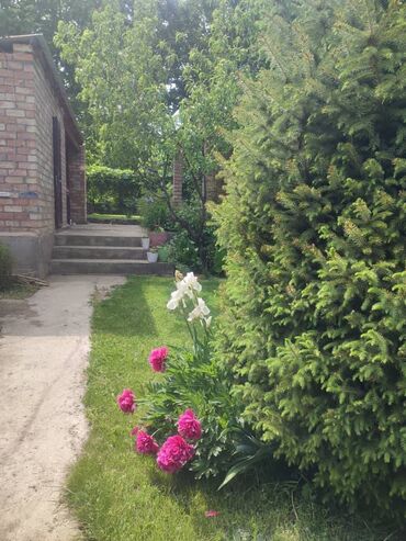 Продажа домов: Дача, 65 м², 4 комнаты, Собственник, Евроремонт — 10