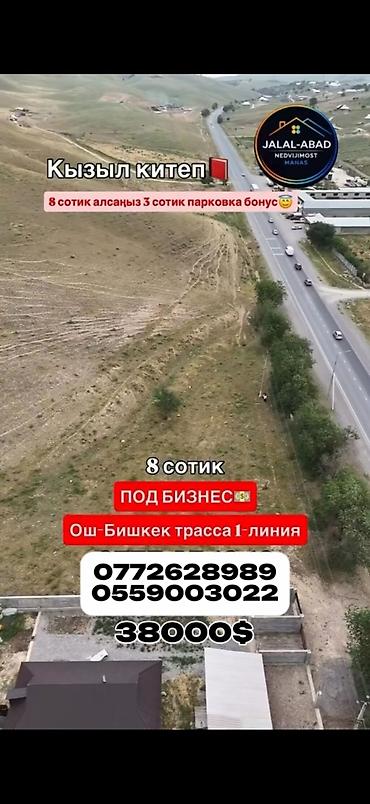 киоск бишкек: 8 соток, Бизнес үчүн, Кызыл китеп — 1