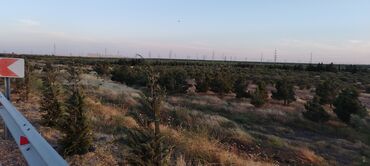 Torpaq sahələrinin satışı: 22 sot, Kənd təsərrüfatı, Mülkiyyətçi, Texniki pasport — 6