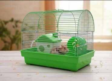 Gəmiricilər: Salam. Disi xomyak satilir. Qefesle birge. Qefesde gorduyunuz her sey -da lalafo.az — 10 Gəmiricilər: Salam. Disi xomyak satilir. Qefesle birge. Qefesde gorduyunuz her sey — 10