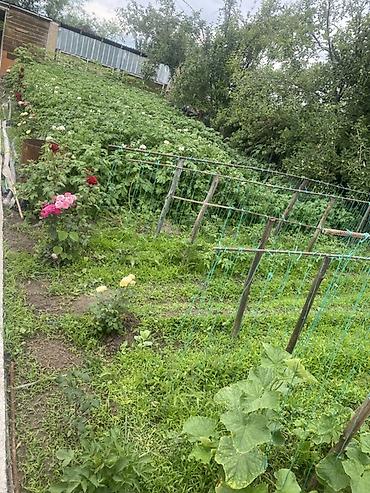 Продажа коттеджей и домов: **СРОЧНО ДАЧА САТЫЛАТ** 📍 Милянфан дачасы 🏠 100 м² | 🌳 6 сотых 🛏 5 at lalafo.kg — 3 Продажа коттеджей и домов: **СРОЧНО ДАЧА САТЫЛАТ** 📍 Милянфан дачасы 🏠 100 м² | 🌳 6 сотых 🛏 5 — 3