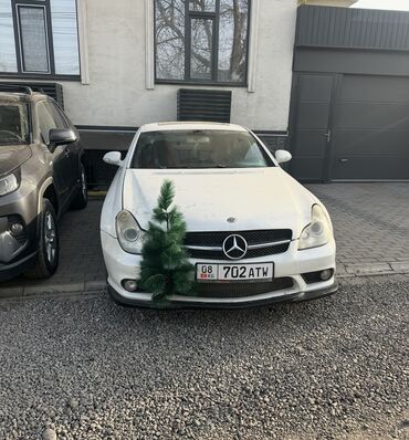 Mercedes-Benz: Mercedes-Benz CLS-Class: 2006 г., 5 л, Типтроник, Бензин, Купе — 2