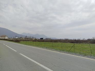 qalada torpaq: 5 sot, Tikinti, Mülkiyyətçi, Kupça (Çıxarış) — 6