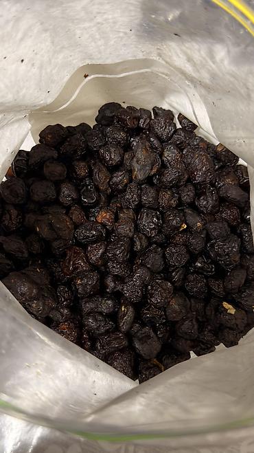 Quru meyvələr: Gilas qurusu.Сушоная черешня.1-kg - 20 azn — 3