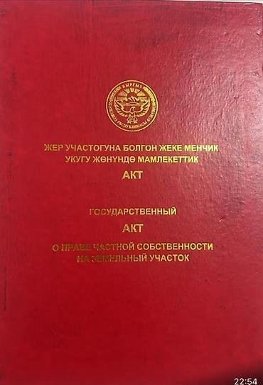 чолпон аиа: 17 соток, Для бизнеса, Красная книга — 1