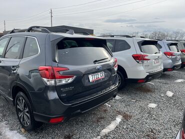 Subaru: Subaru Forester: 2019 г., 2.5 л, Вариатор, Бензин, Кроссовер — 7