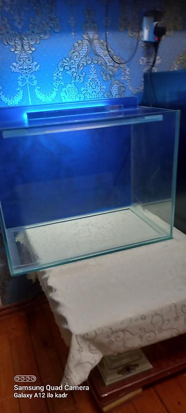 akvarium az: Salam istənilən ölçüdə akvarium ən azı 30 litrdən yuxarı münasib — 4