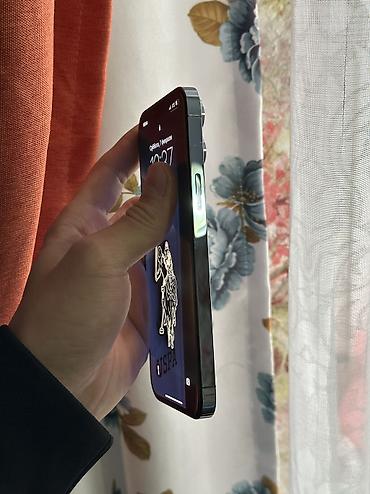 Apple iPhone: IPhone 13 Pro Max, Б/у, 256 ГБ, Sierra Blue, Защитное стекло, Чехол, Кабель, 77 % — 5