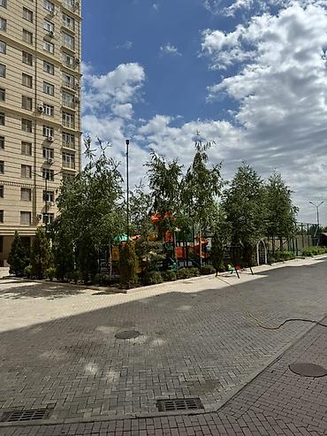 Долгосрочная аренда квартир: Студия, С мебелью полностью — 9