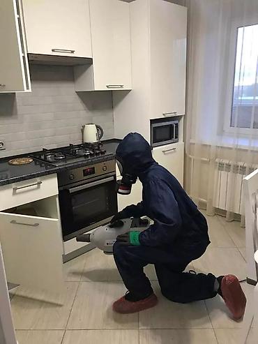 Дезинфекция, дезинсекция: Дезинфекция, дезинсекция, | Блохи, Тараканы, Вирусы, микробы, | Подвал, погреб, Транспорт, Кафе, магазины — 4