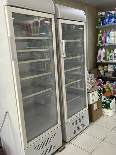 холодильник лар: Сүт азыктары үчүн, Орусия, Колдонулган