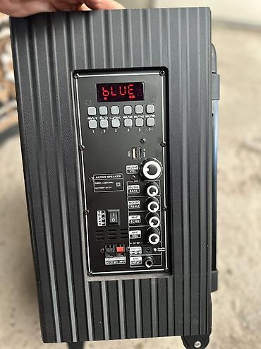 se electronics: Портативная аккумуляторная акустическая система SSRJ SS-3101 Основные — 5