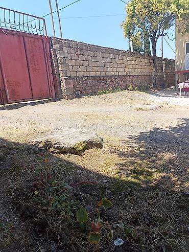 neapol dairesinde kiraye evler: 4 otaqlı mənzil 140кв - Geniş və işıqlı zal: divarları açıq yaşıl — 6