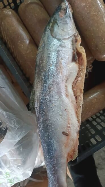 Птица: Курица :, До 1 кг, 1 кг, 2 кг, Платная доставка — 16