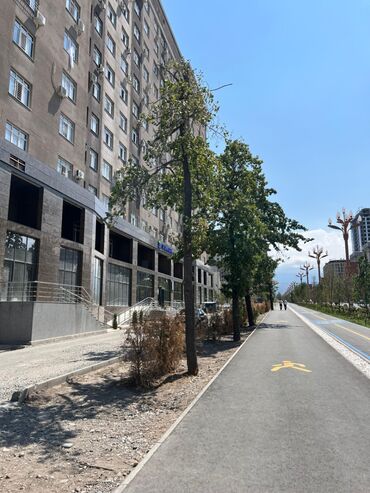 квартиры 2 комнат: 2 комнаты, 65 м², Элитка, 12 этаж, Евроремонт