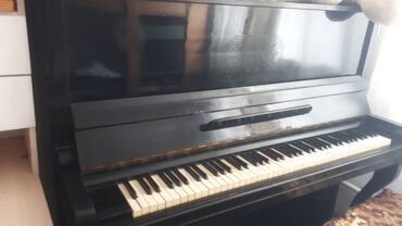 Пианино, фортепиано: Пианино, фортепиано