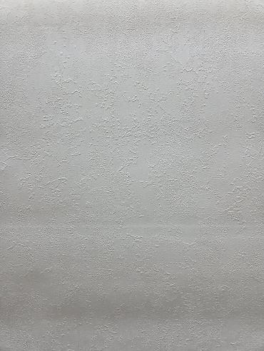 Обои под покраску: Обои подпокраску: от 1700с Германия, Беларусь, Бельгия, Россия * — 19