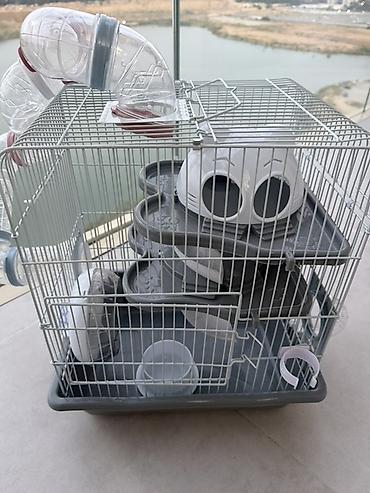 heyvan evi: Hamster üçün çoxmərtəbəli qəfəs və aksesuar dəsti hamisi bir yerde — 1