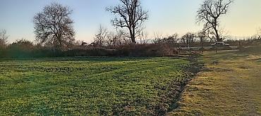 Torpaq sahələrinin satışı: Kənd təsərrüfatı — 5